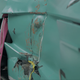 Image for article titled The Rimac Nevera Will Keep You Relatively Safe Should You Decide To Wrap The Hypercar Around A Pole